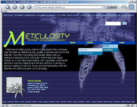 Meticulosity Web Design LLC. webpage